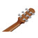 Ibanez AAM50LCE: Picture 12 thumbnail