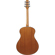 Ibanez AAM50: Picture 2 thumbnail