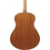 Ibanez AAM50: Picture 5 thumbnail