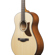 Ibanez AAM50: Picture 6 thumbnail