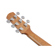 Ibanez AAM50: Picture 9 thumbnail