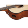 Ibanez AAM50: Picture 10 thumbnail