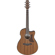 Ibanez AAM54CE: Picture 1 thumbnail