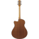 Ibanez AAM54CE: Picture 2 thumbnail