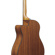 Ibanez AAM54CE: Picture 14 thumbnail