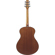 Ibanez AAM54: Picture 2 thumbnail