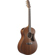 Ibanez AAM54: Picture 3 thumbnail