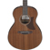 Ibanez AAM54: Picture 4 thumbnail