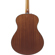 Ibanez AAM54: Picture 5 thumbnail