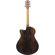 Ibanez AAM70CE: Picture 2 thumbnail