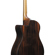 Ibanez AAM70CE: Picture 14 thumbnail