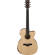 Ibanez AC150CE: Picture 1 thumbnail