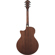 Ibanez AE100: Picture 2 thumbnail