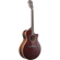 Ibanez AE100: Picture 3 thumbnail