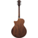 Ibanez AE100: Picture 2 thumbnail