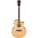 Ibanez AE170: Picture 1 thumbnail
