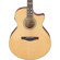Ibanez AE170: Picture 7 thumbnail