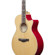 Ibanez AE170: Picture 9 thumbnail