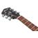 Ibanez AE275: Picture 8 thumbnail