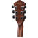 Ibanez AE315: Picture 3 thumbnail