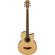 Ibanez AEB105ENT: Picture 1 thumbnail