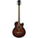 Ibanez AEB10E: Picture 1 thumbnail