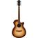 Ibanez AEG10II: Picture 1 thumbnail