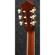 Ibanez AEG10NII: Picture 4 thumbnail