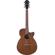 Ibanez AEG62: Picture 1 thumbnail
