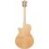 Ibanez AEG: Picture 5 thumbnail