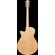 Ibanez AEG: Picture 4 thumbnail