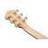 Ibanez AEG: Picture 12 thumbnail