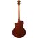 Ibanez AEG: Picture 2 thumbnail