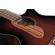 Ibanez AEG: Picture 12 thumbnail