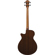 Ibanez AEGB24FE: Picture 2 thumbnail