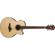 Ibanez AELFF10: Picture 4 thumbnail