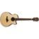 Ibanez AELFF10: Picture 3 thumbnail