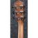 Ibanez AEW16LTD1: Picture 1 thumbnail