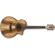 Ibanez AEW16LTD1: Picture 3 thumbnail