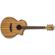 Ibanez AEW40ZW: Picture 1 thumbnail