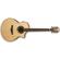 Ibanez AEW51: Picture 3 thumbnail