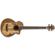 Ibanez AEWB50: Picture 3 thumbnail