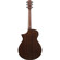 Ibanez AEWC Series AEWC16QA Acoustic Ele...: Picture 2 thumbnail