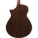 Ibanez AEWC Series AEWC16QA Acoustic Ele...: Picture 5 thumbnail