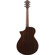 Ibanez AEWC Series AEWC16QA Acoustic Ele...: Picture 2 thumbnail