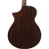 Ibanez AEWC Series AEWC16QA Acoustic Ele...: Picture 5 thumbnail