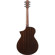 Ibanez AEWC Series AEWC16QA Acoustic Ele...: Picture 2 thumbnail