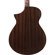Ibanez AEWC Series AEWC16QA Acoustic Ele...: Picture 5 thumbnail