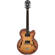 Ibanez AF55: Picture 1 thumbnail