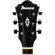 Ibanez AF55: Picture 9 thumbnail